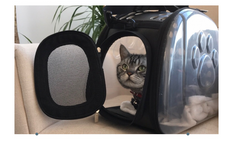 Transparent Pet Backpack