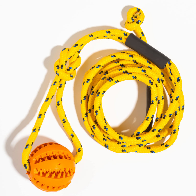 Dog Rope & Ball Toy