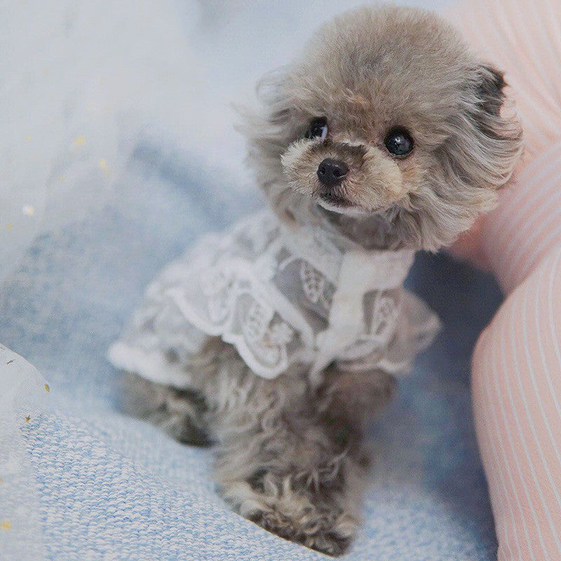 Lace Sunscreen Skirt for Dogs