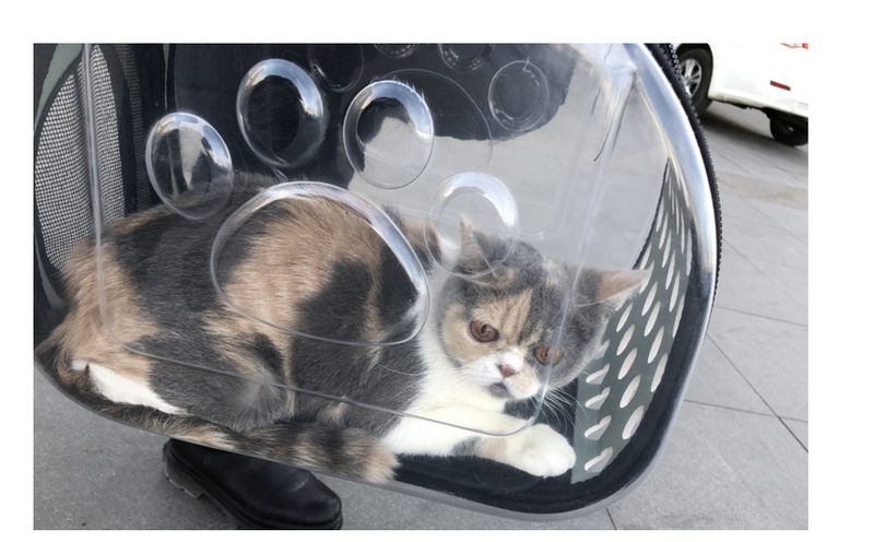 Transparent Pet Backpack