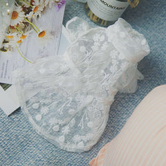 Lace Sunscreen Skirt for Dogs