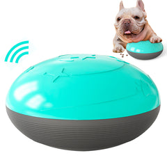 Pet Sound Ball Feeder